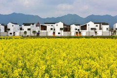 輕鋼別墅建設鄉村特色小鎮 全程環保材料