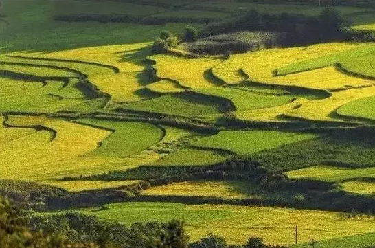 農村風景