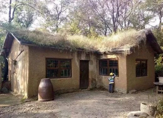 住房在進步—時代呼喚環保建筑在廣大農村大展身手(圖3) 土墻屋